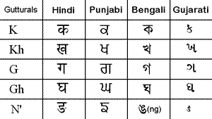 Hindi Translation Information